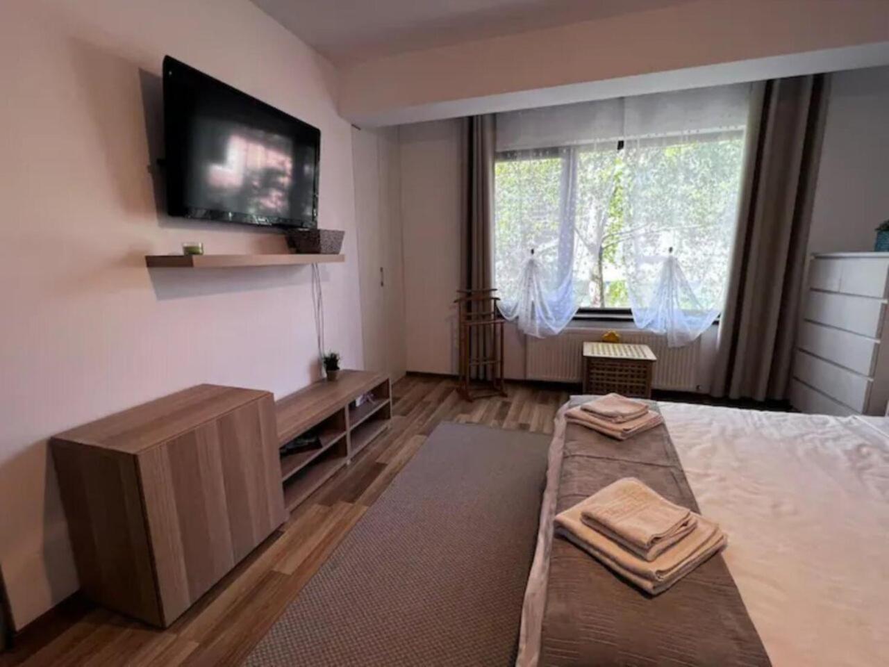 Villa Luminoasa Cu Curte Privata Bucharest