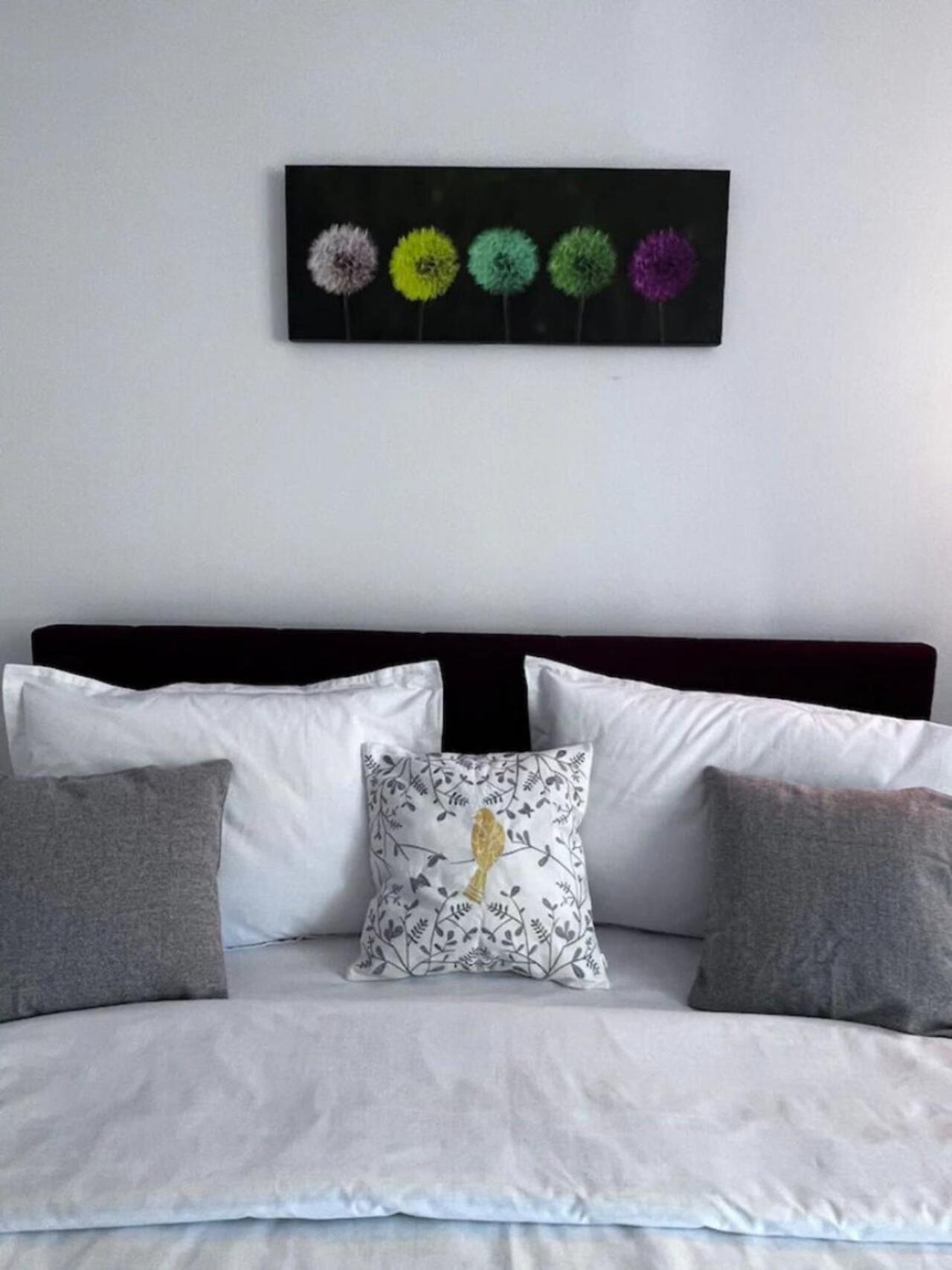 Luminoasa Cu Curte Privata * Bucharest