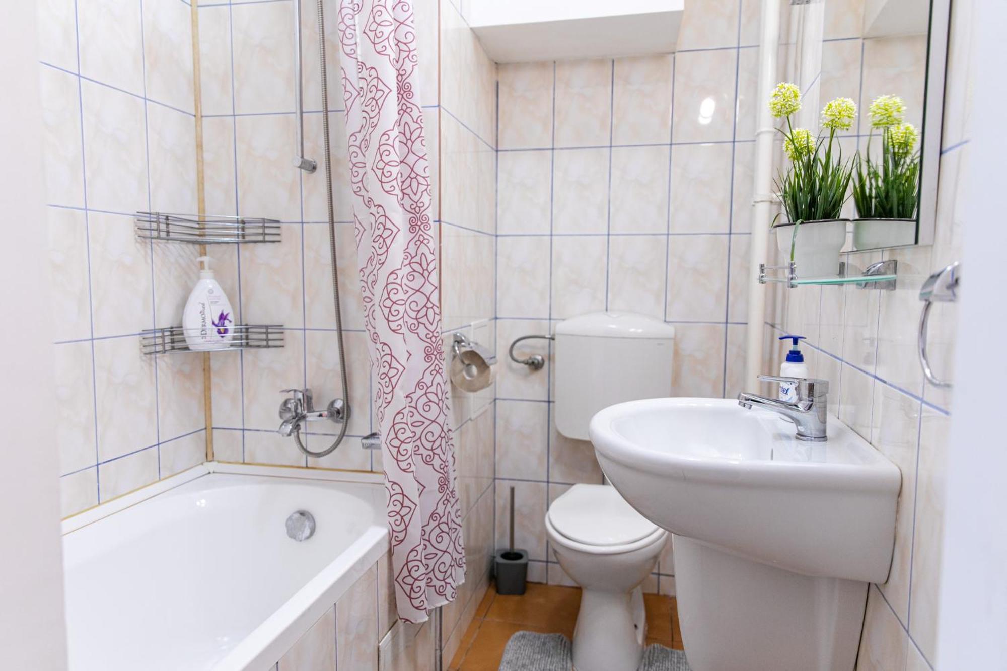 Apartament Color Regina Elisabeta 23 Bucureşti