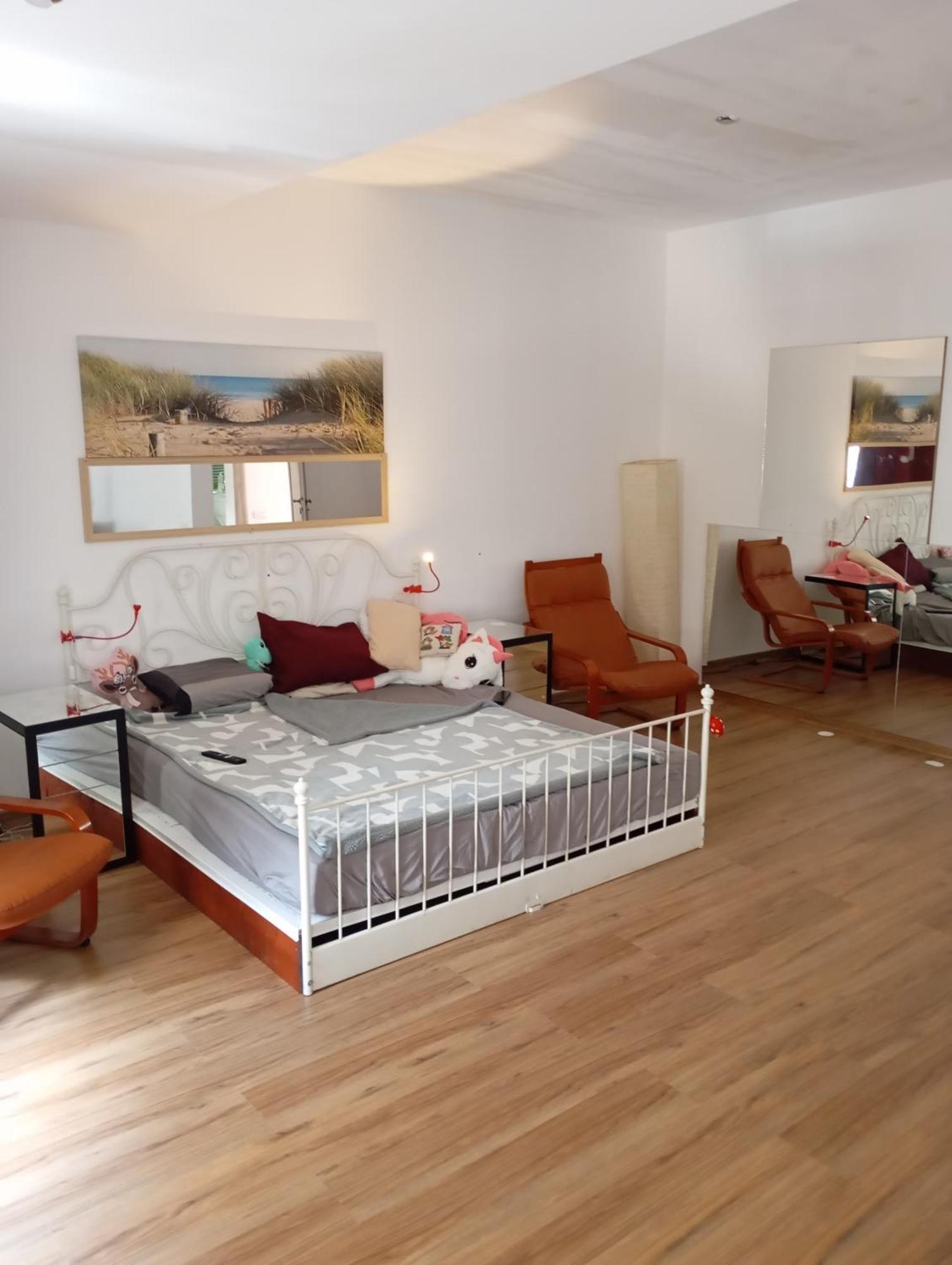 New Spacious Villa! Guest house Bucharest