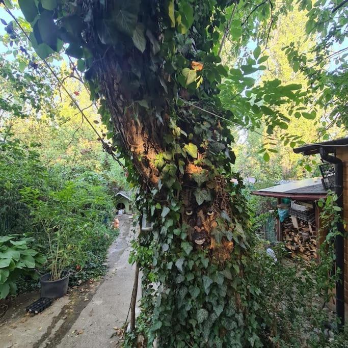 Mansarda Boema, Gradina De Basm * Bucharest