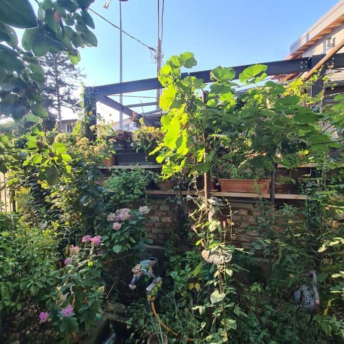 Mansarda Boema, Gradina De Basm Holiday home *