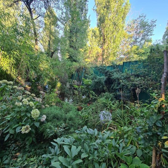 Mansarda Boema, Gradina De Basm *