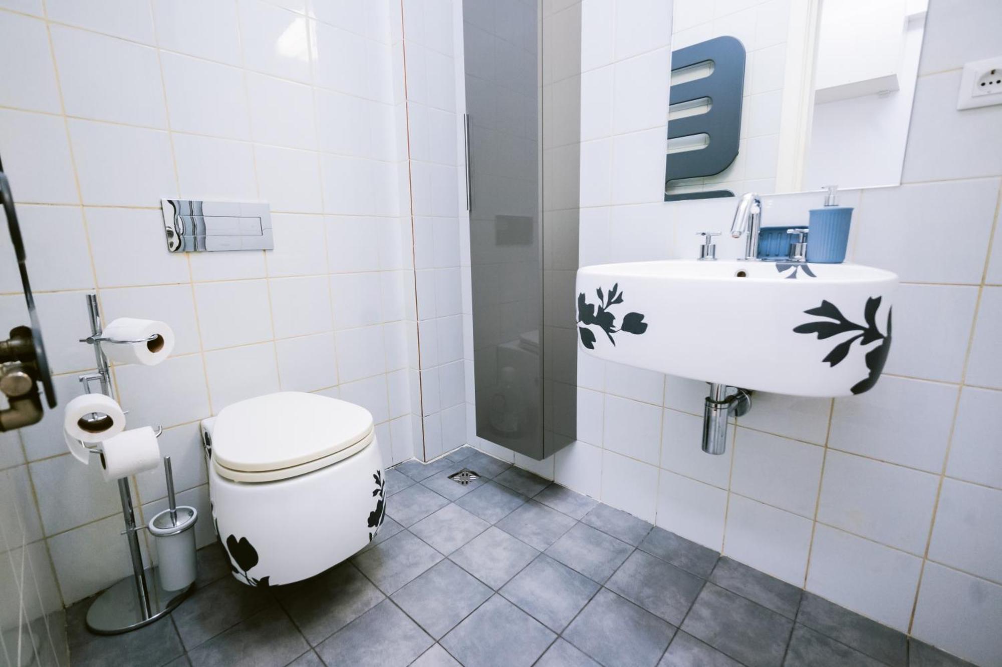 Apartment Dorobanti Pearl