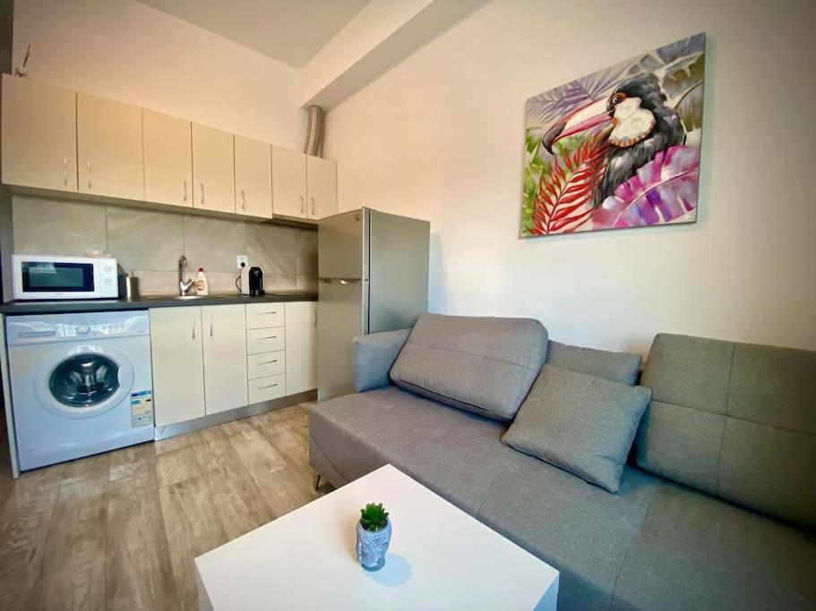 Apartament Grey Old Town Ultracentral