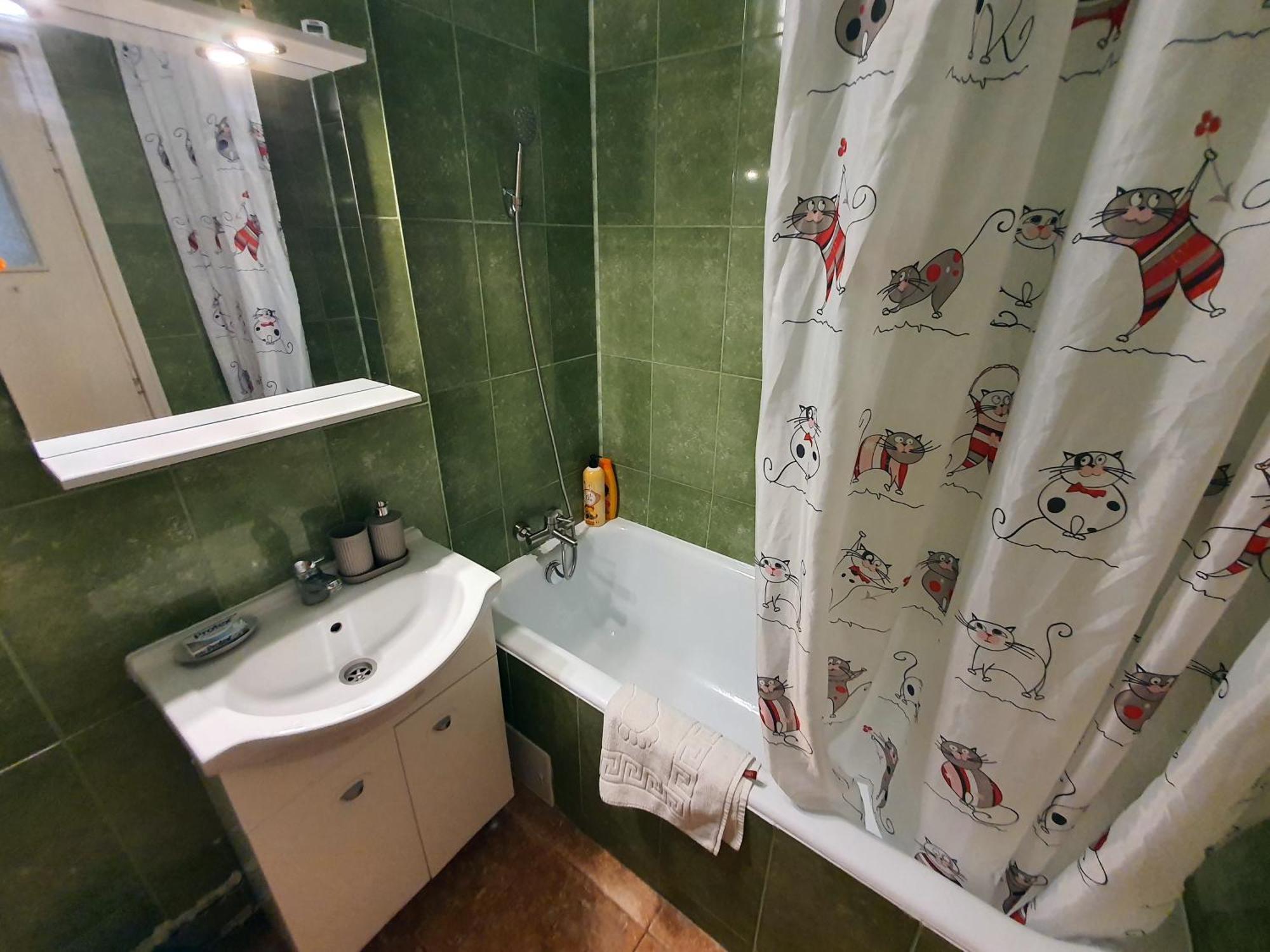 Apartment Cismigiu Bucharest