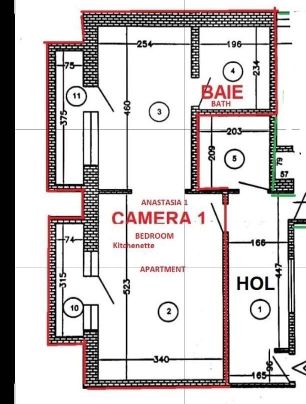 Apartment Anastasia Balcescu 1 Beautiful View Self Check In Code From 2 Pm Only Microwave