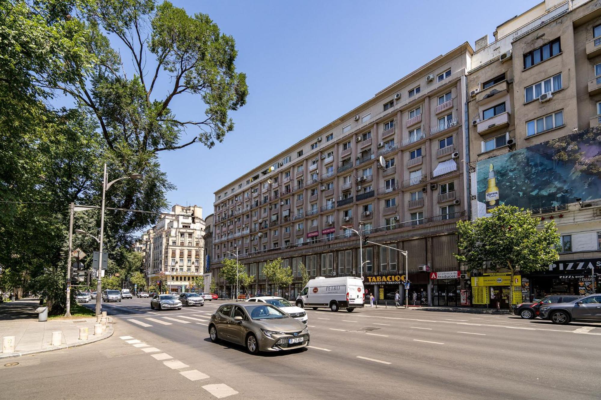 Romana Vibe Elegance In The Heart Of The