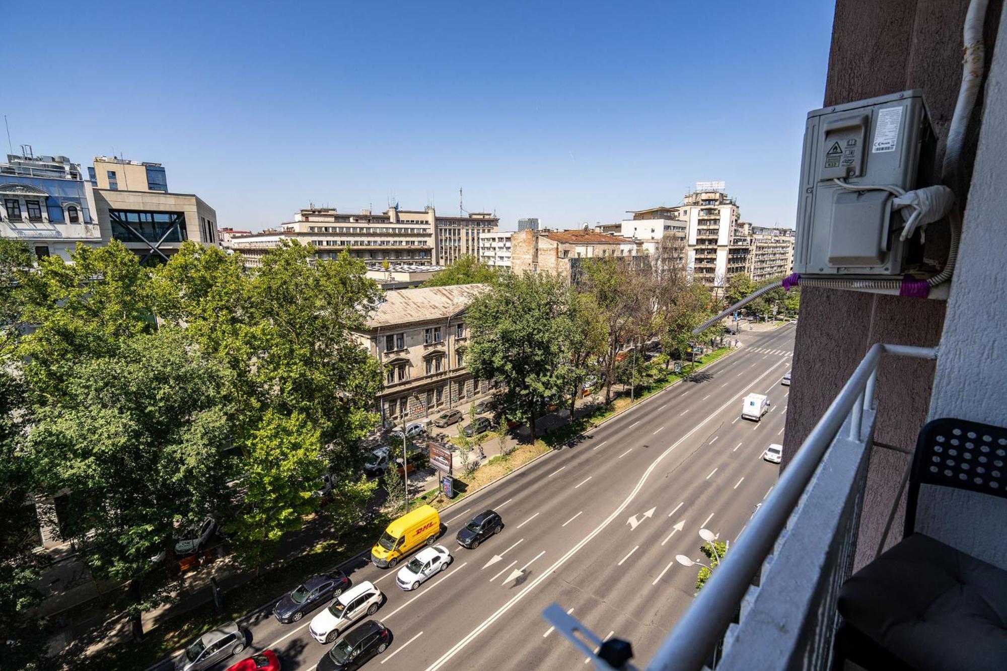 Romana Vibe Elegance In The Heart Of The