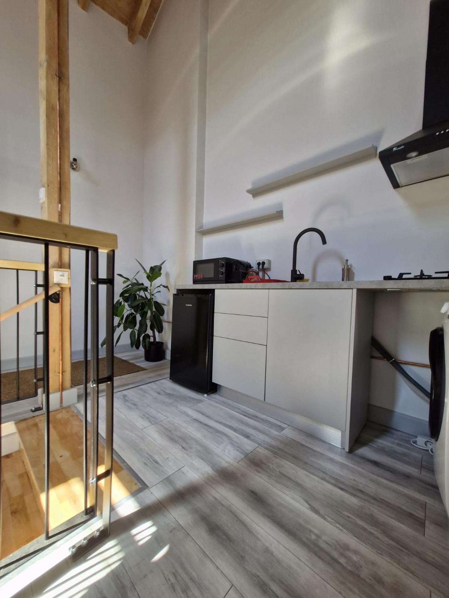 Small Attic With Private Bathroom Bucureşti
