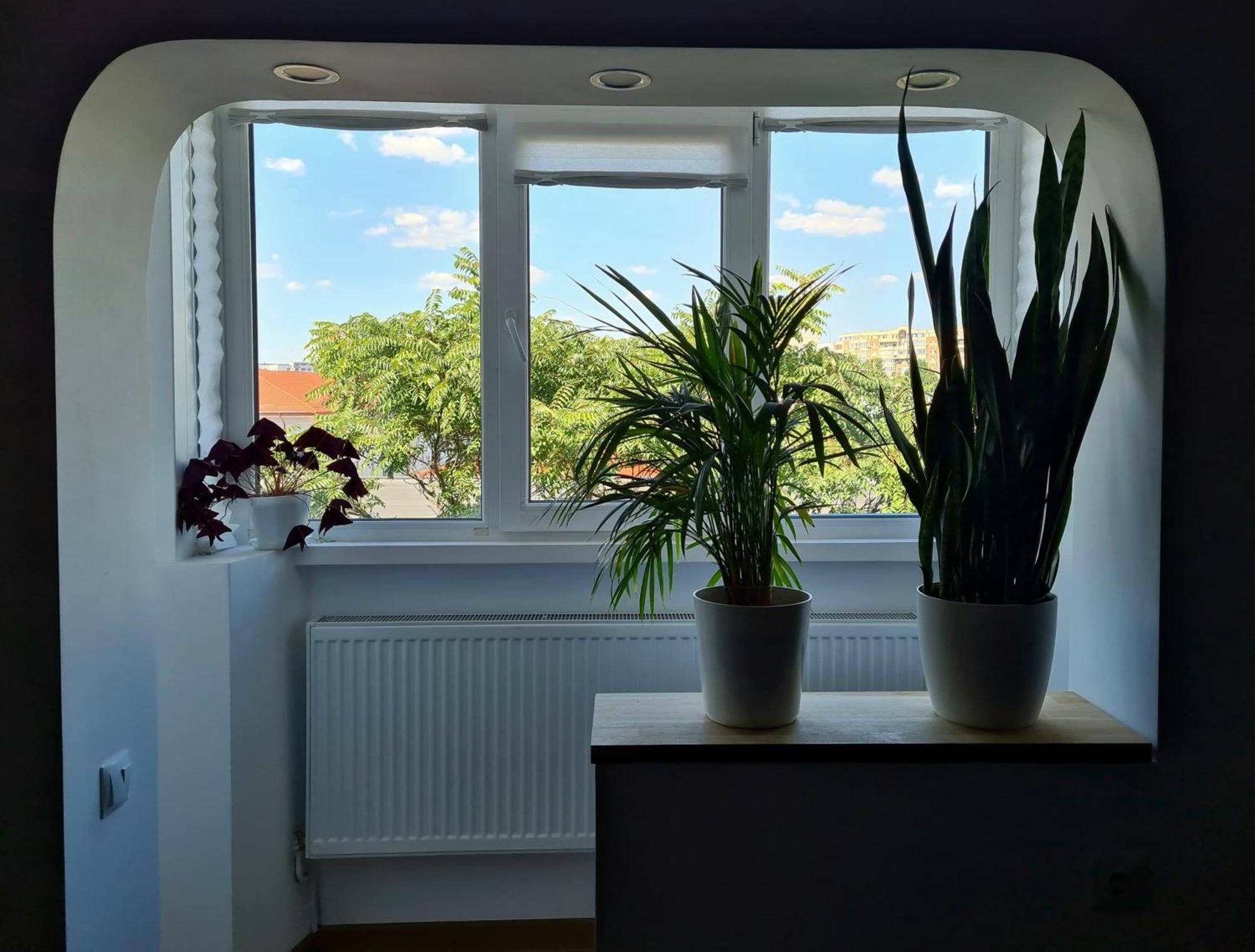 Apartament In Dristor Area *