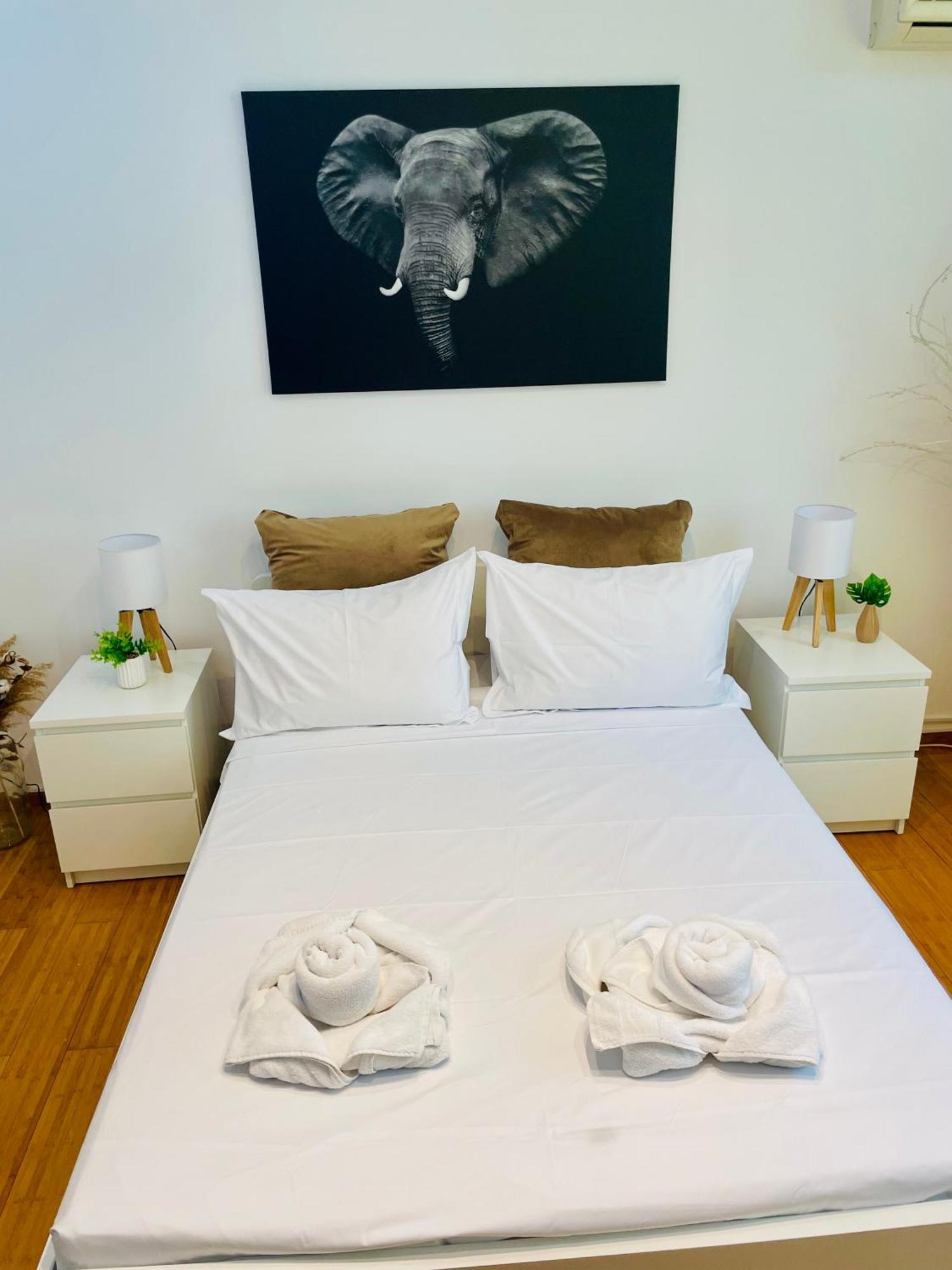 Apartament Old Town Ateneu *