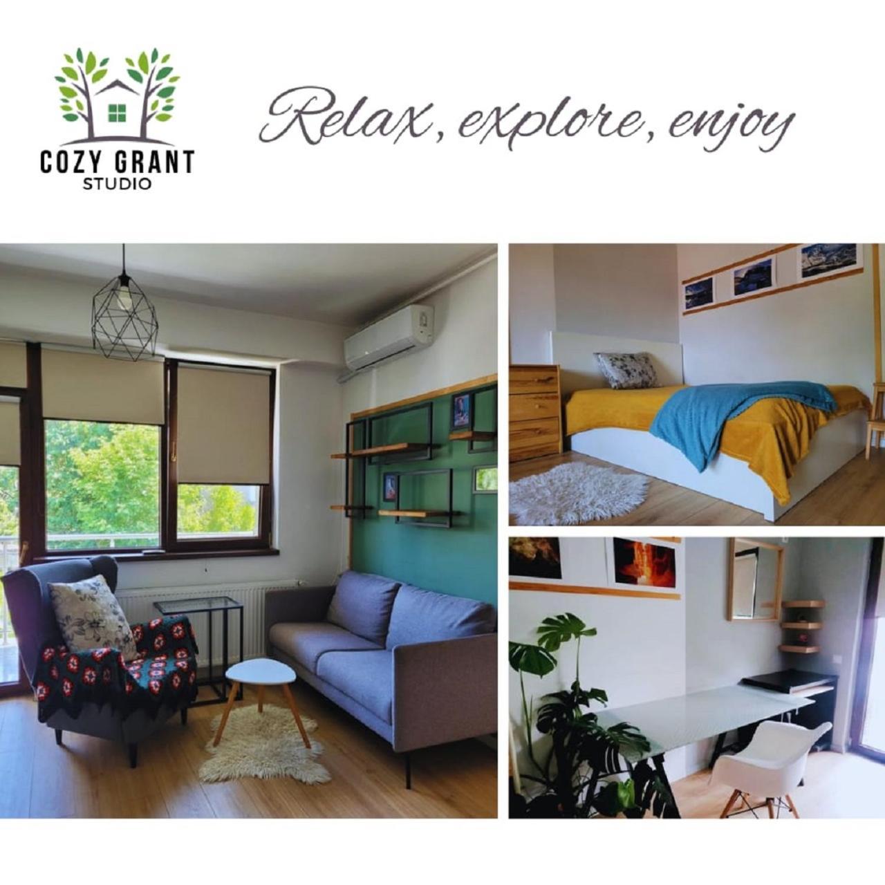 Cozy Grant Apartament Bucureşti