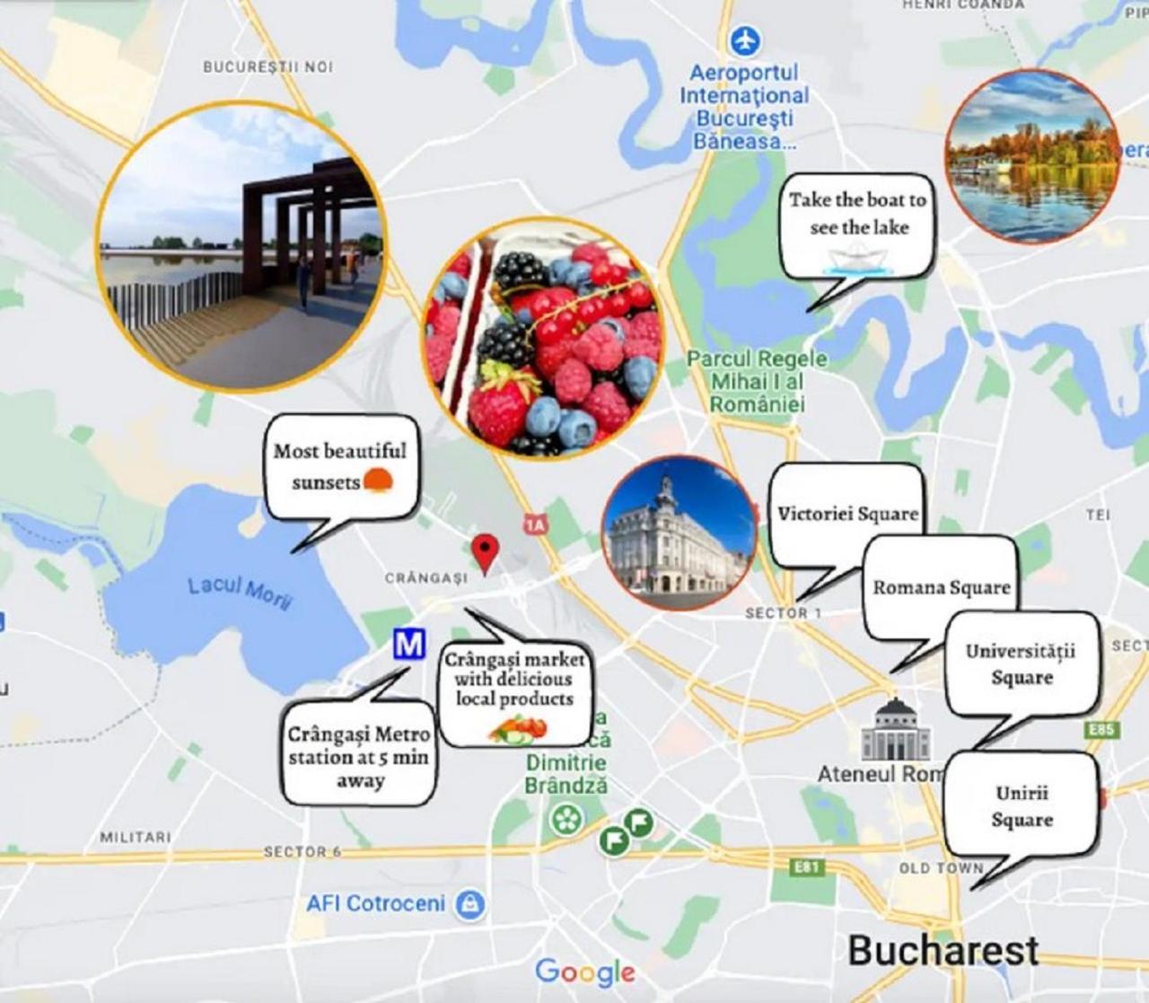 Cozy Grant * Bucureşti