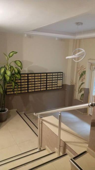 Cosy 1 Bed Flat Domenii, Herastrau, Elias, Veruvis Bucharest