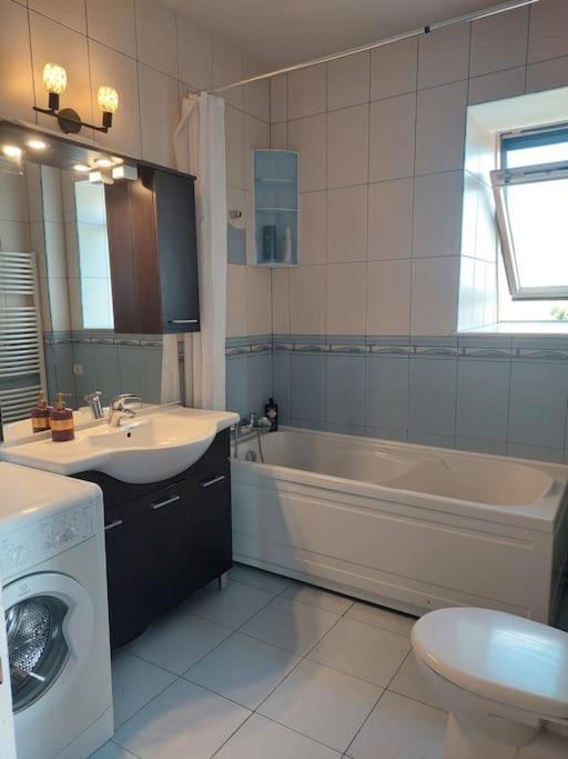 Apartamento Cosy 1 Bed Flat Domenii, Herastrau, Elias, Veruvis *
