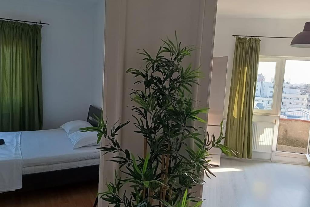 Bnr - Ultracentral Haven Apartment *
