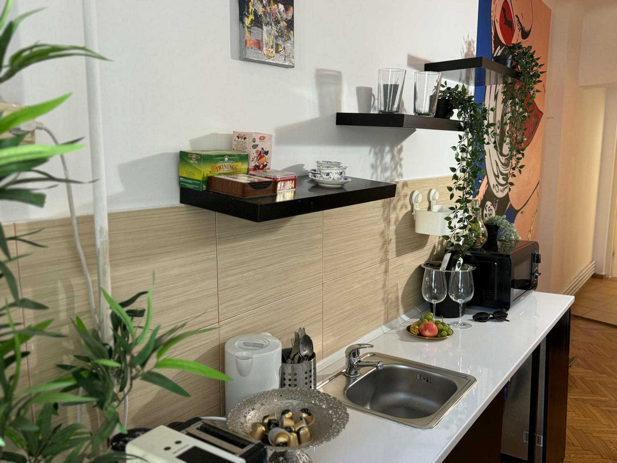 Apartment Elegant Getaway Calea Victoriei Bucharest