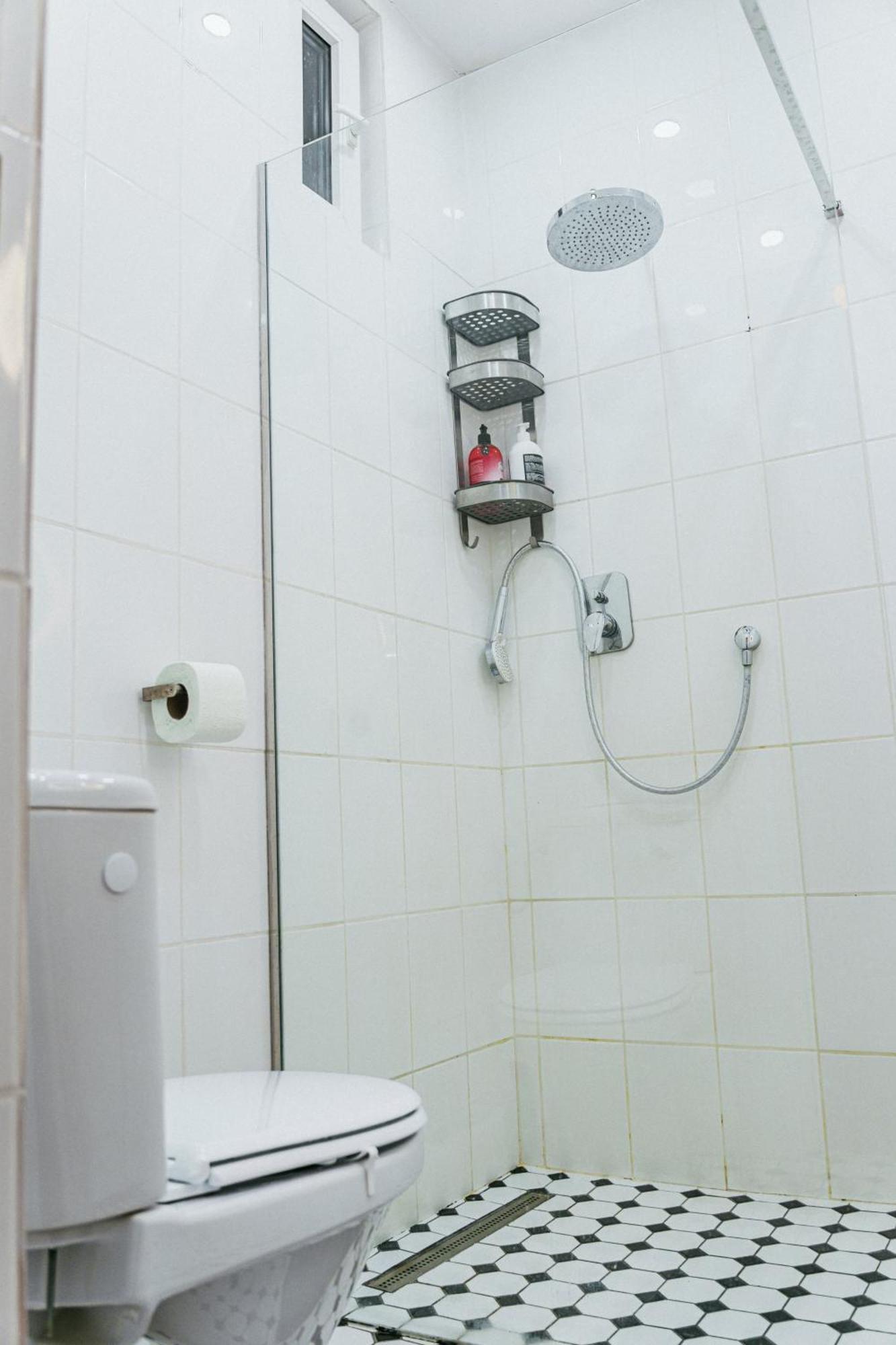 Hacienda Doamnei - Modern Old Town Studio Bucharest