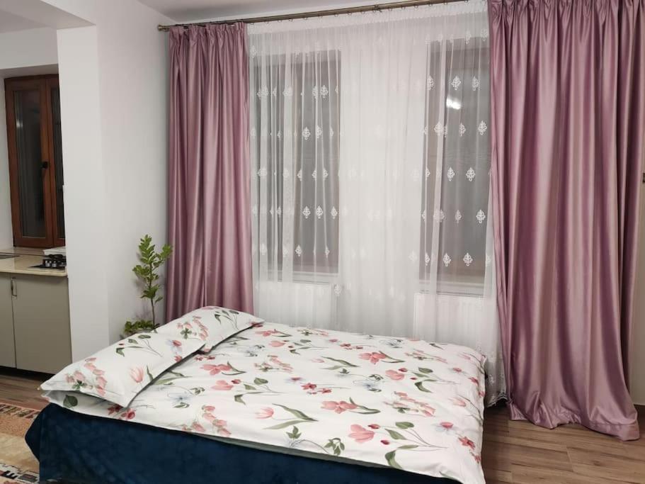 Apartment Ultracentral 4