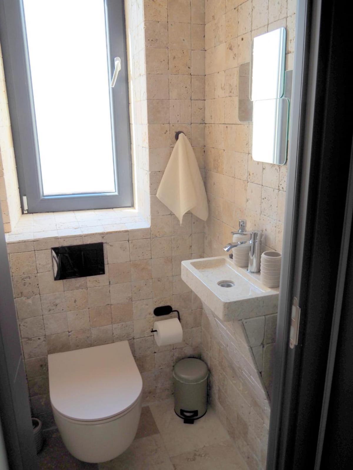Villa Mansini Luxury Victoriei