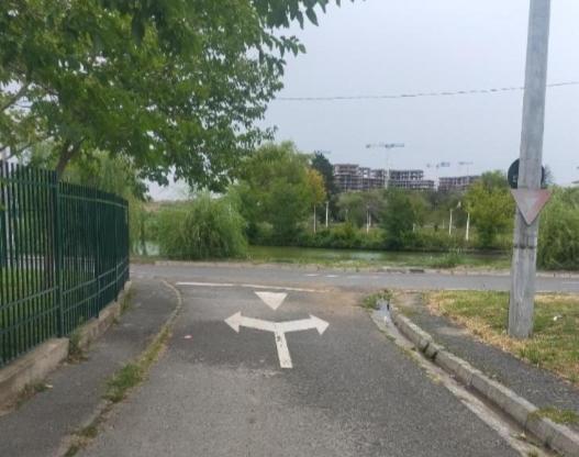 Vila Elena Ap3 Gazde/Camere de închiriat Bucureşti