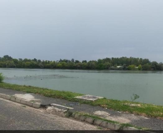 Vila Elena Ap3 Gazde/Camere de închiriat Bucureşti