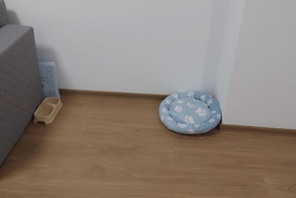 Apartment Apartamentul Relaxarii M&f *