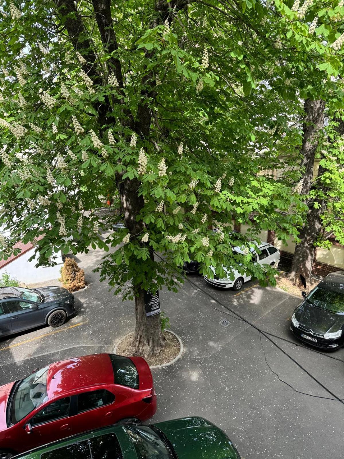 Apartment Great At Piata Romana *
