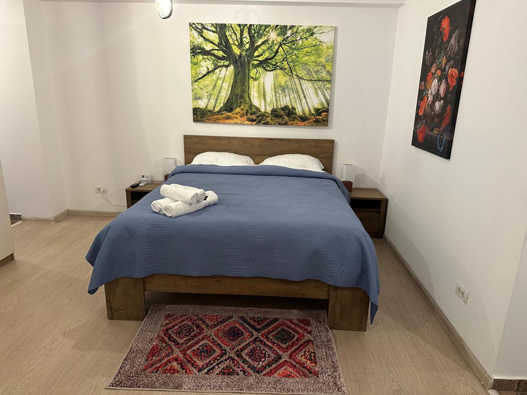 Apartament Bucur