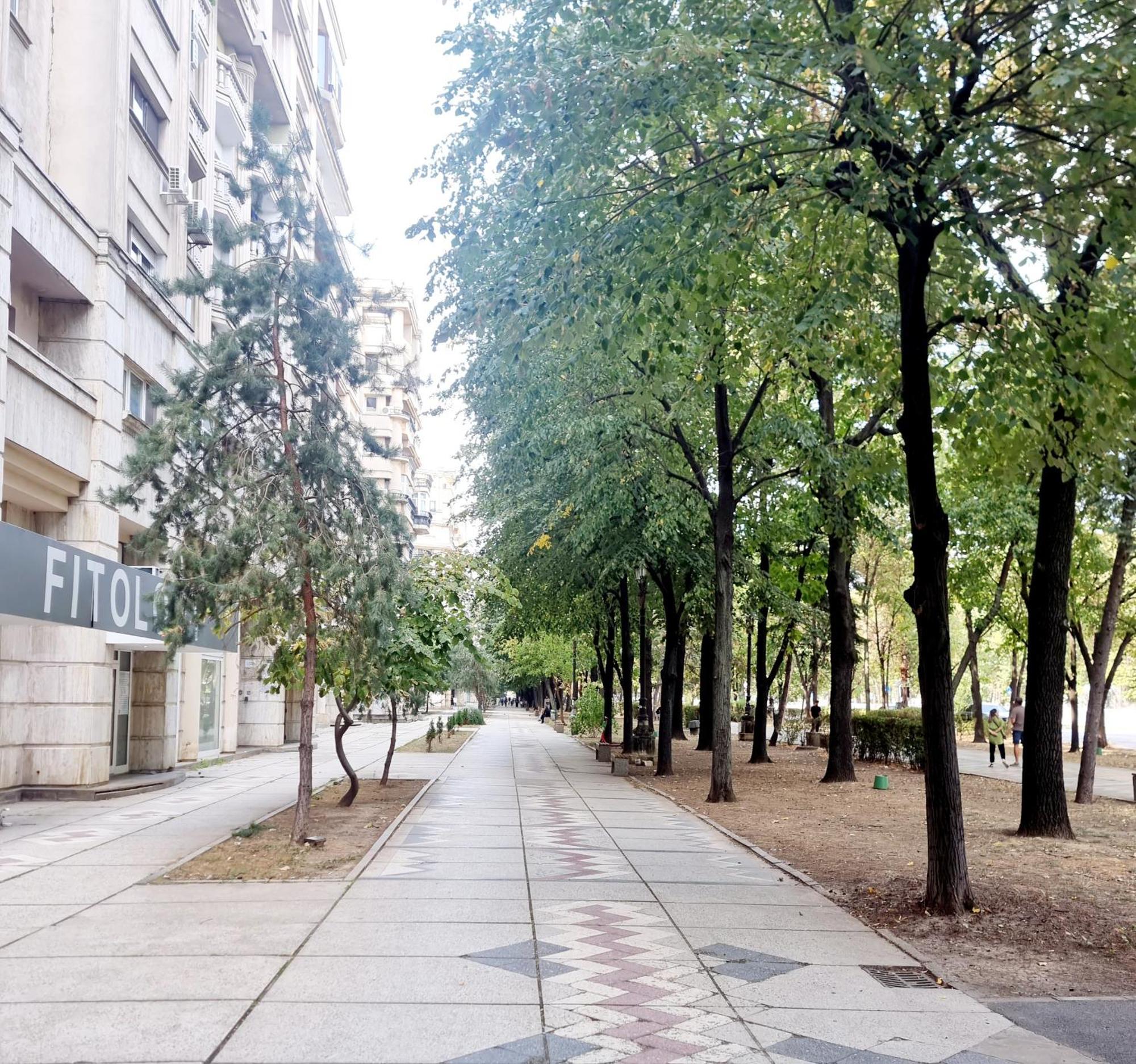 Tranquil Unirii - Airy & Comfy With Parking - Next 2Parliament *