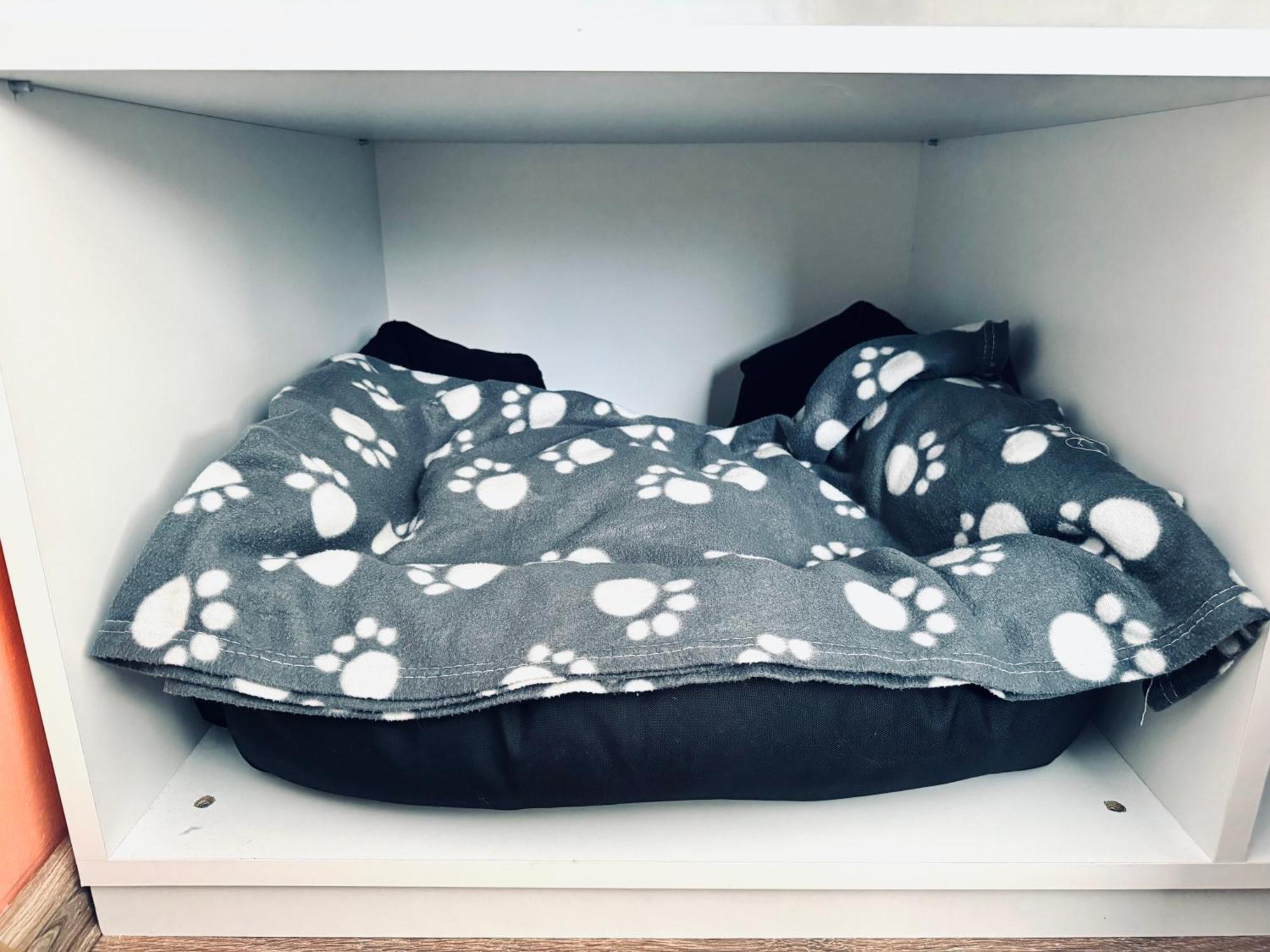 Unde Apartament *