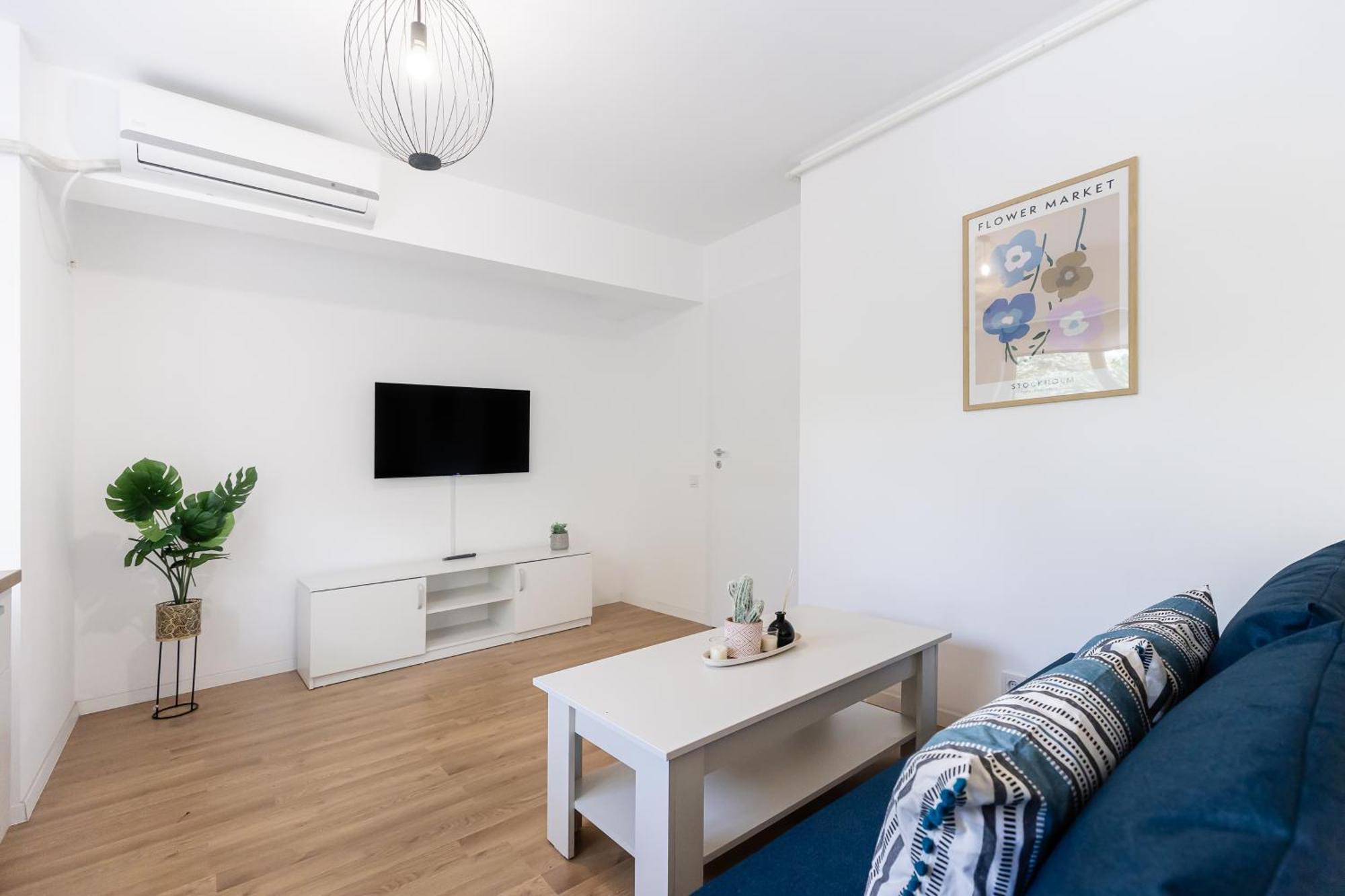 Simplicity Apartment