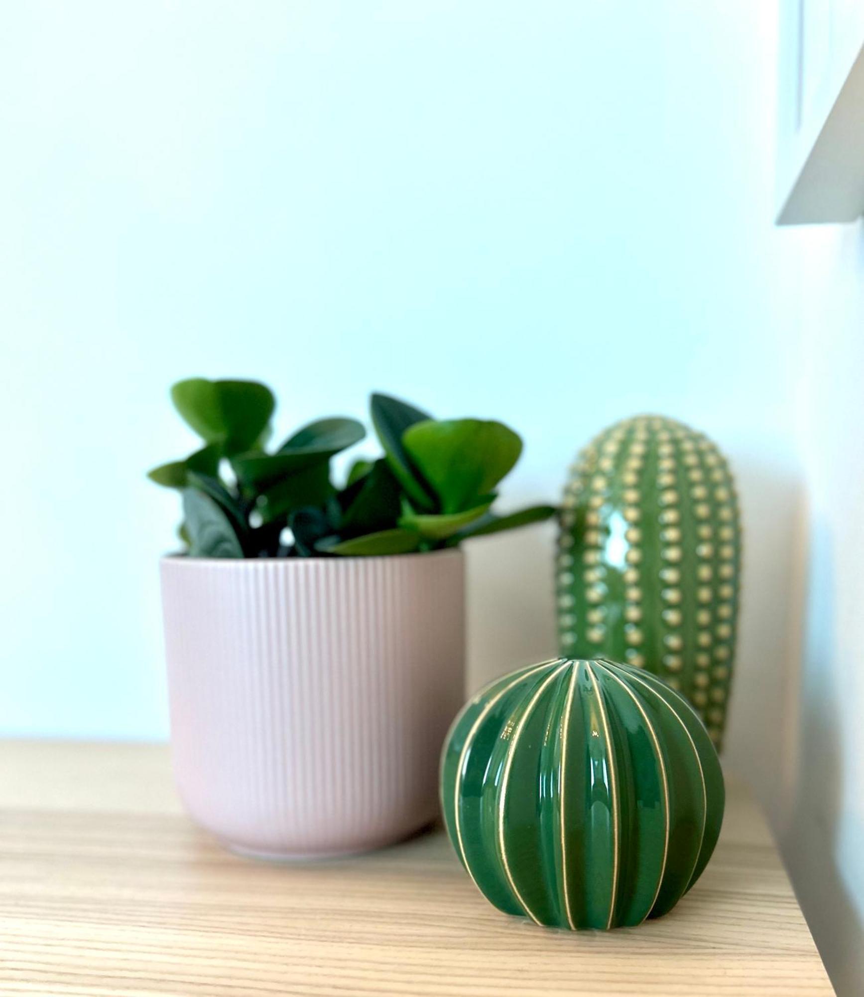 Apartamento Urban Parkside Retreat Cozy 2-bed Ap By Metro *