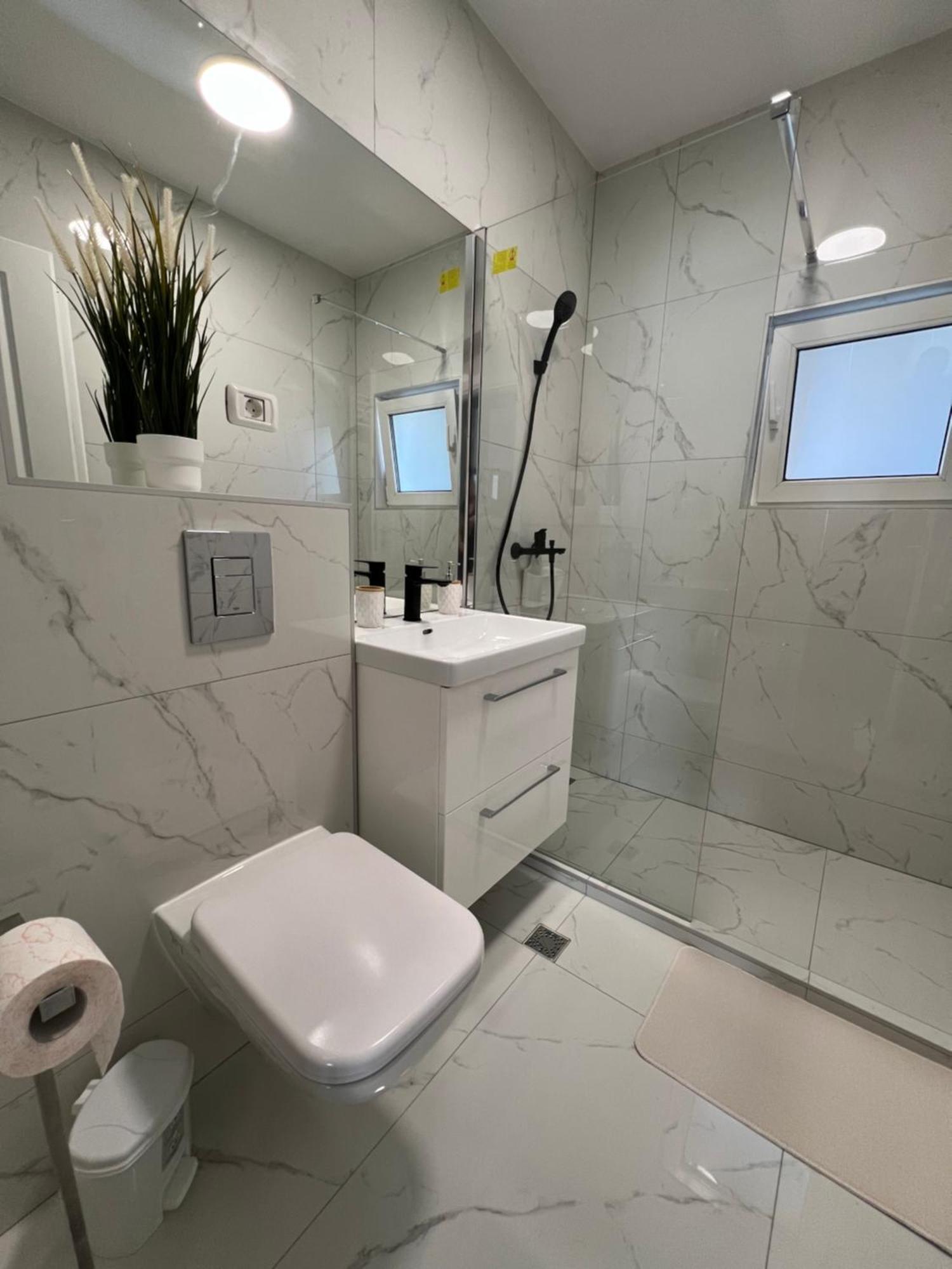 Center Victoriei St Apartment