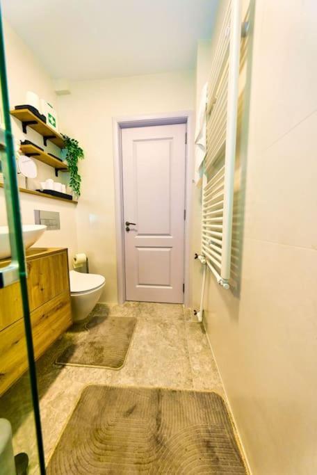 Bright Matei Voievod Apartamento *