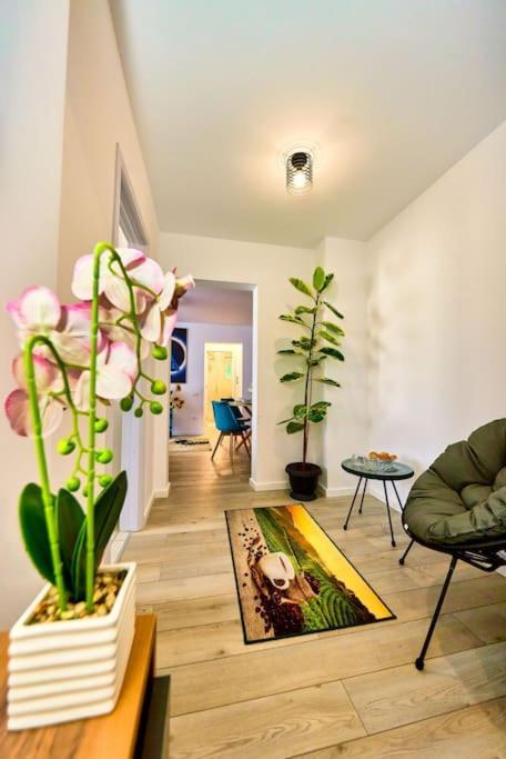 Apartamento Bright Matei Voievod