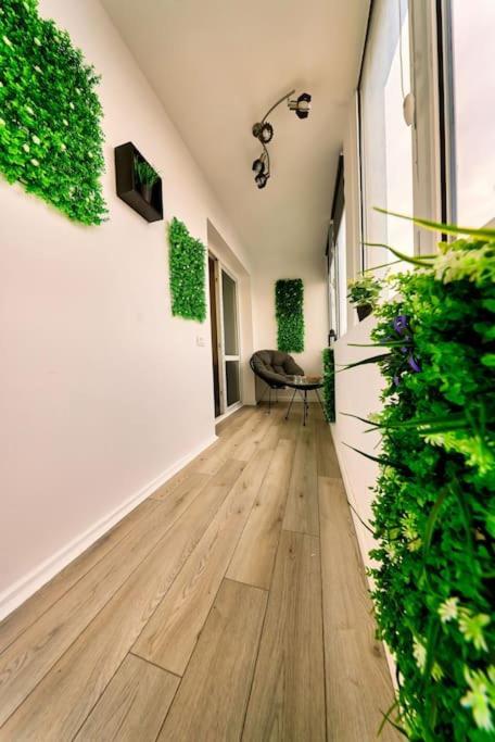 Bright Matei Voievod Apartamento Bucareste