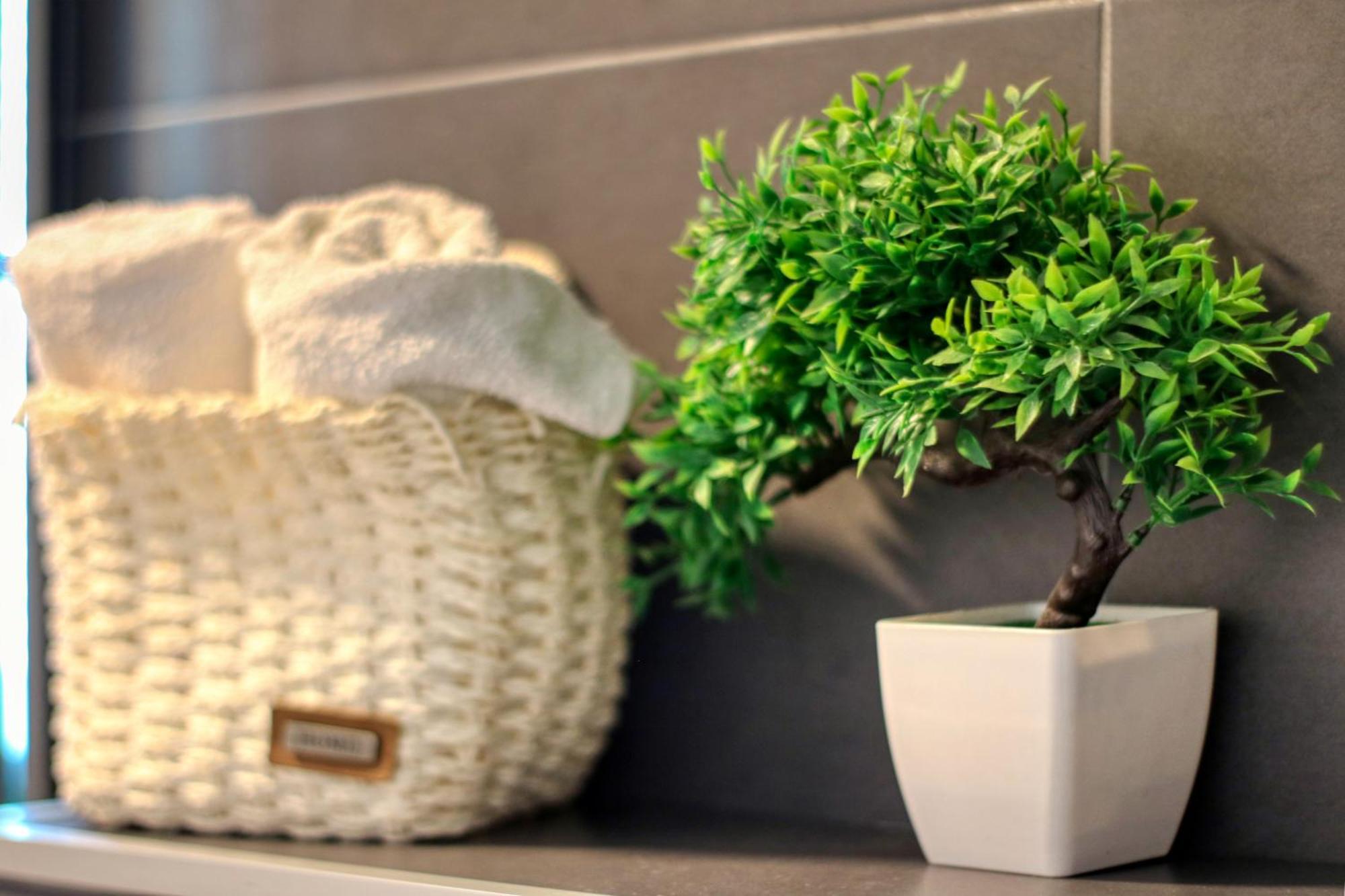 Apartament Modern Vitan *