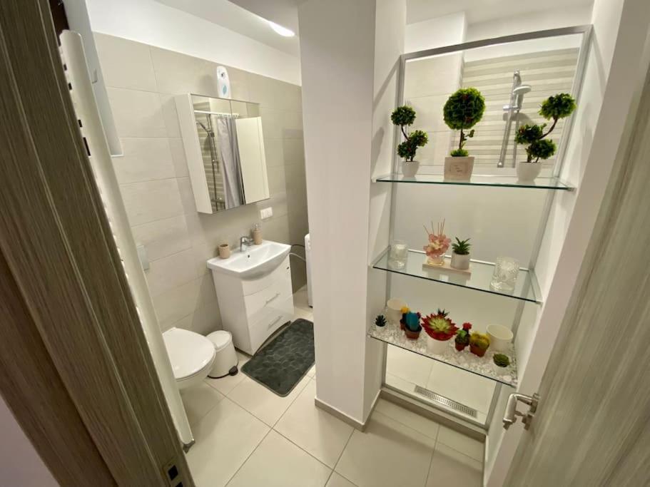 Apartment Cozy With 2 Bucharest