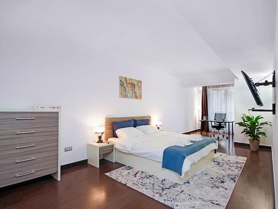 Apartment Herastrau Prime