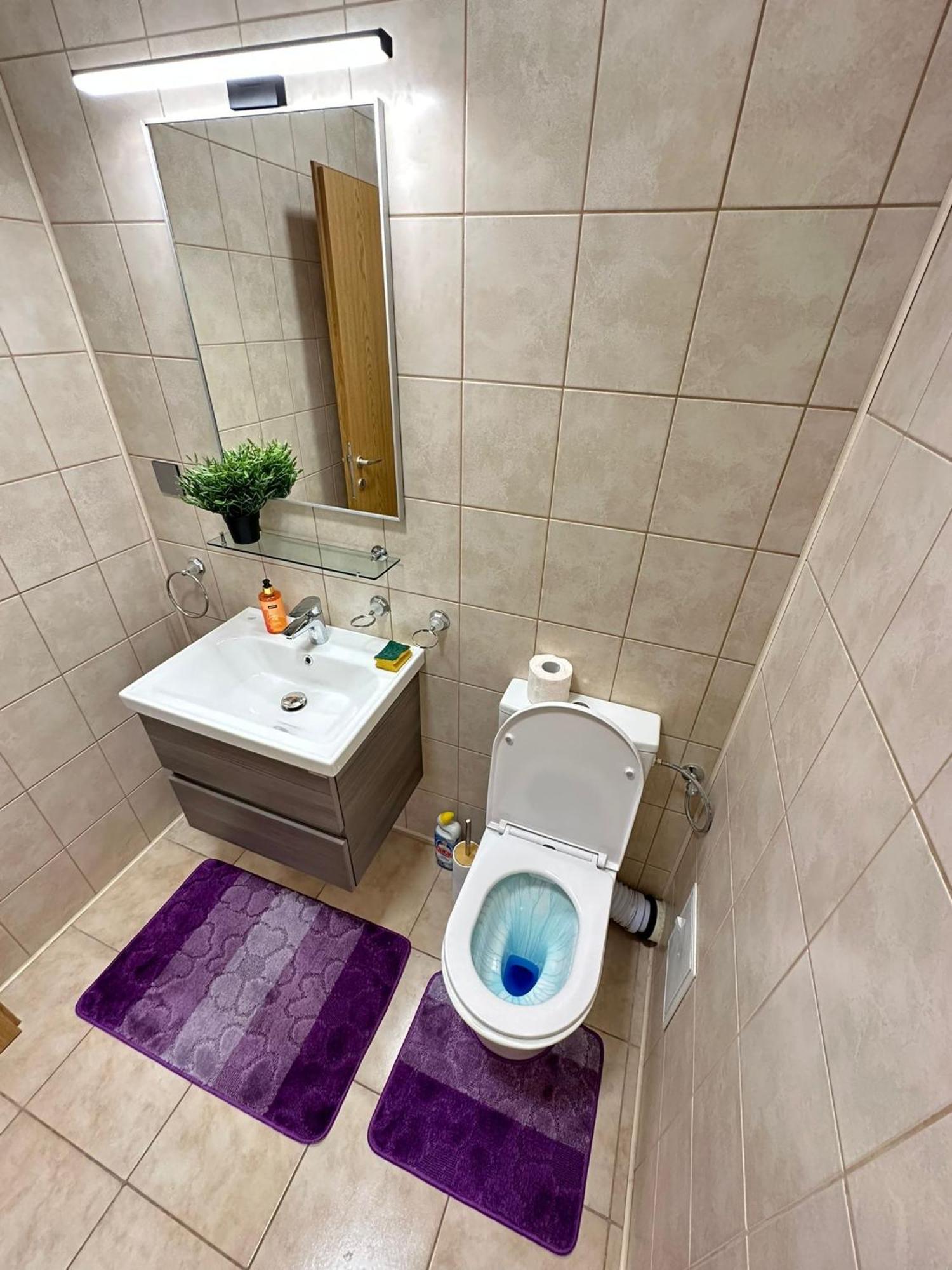 Apartment Centru Unirii Luxury Vip Palmier: Two-room With Terrace Bucharest