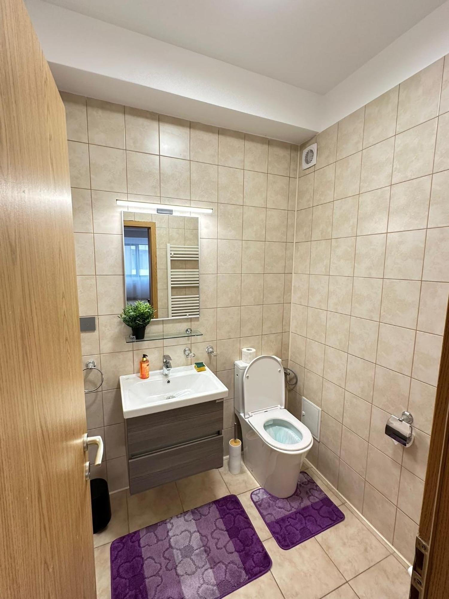 Centru Unirii Luxury Vip Palmier: Two-room With Terrace Apartment Bucharest
