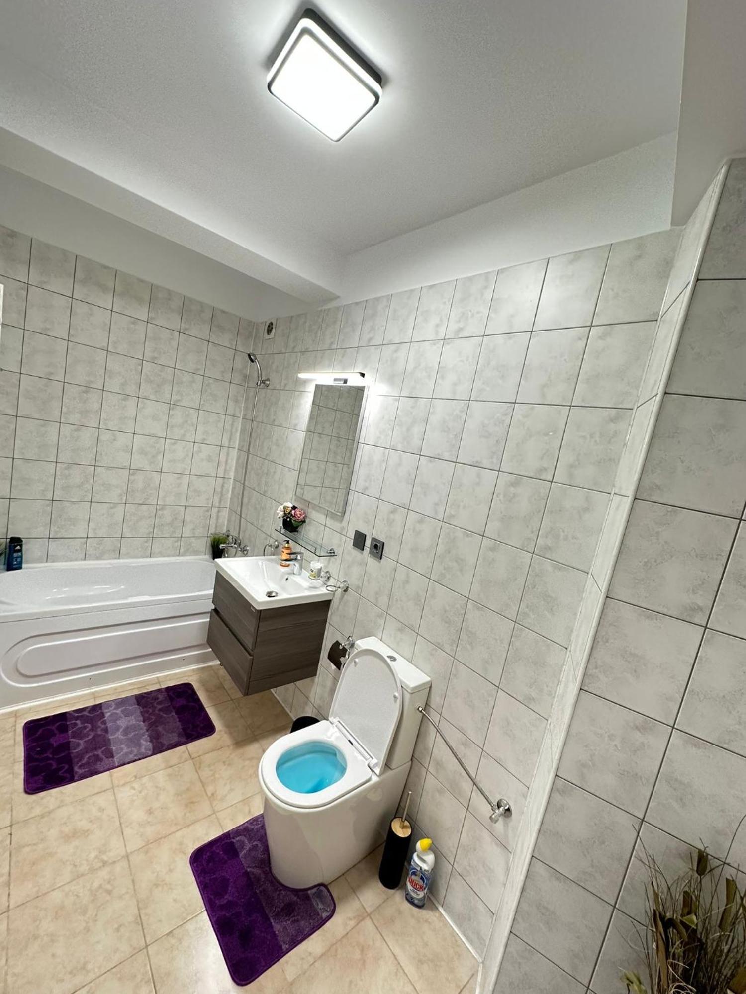 Apartment Centru Unirii Luxury Vip Palmier: Two-room With Terrace *