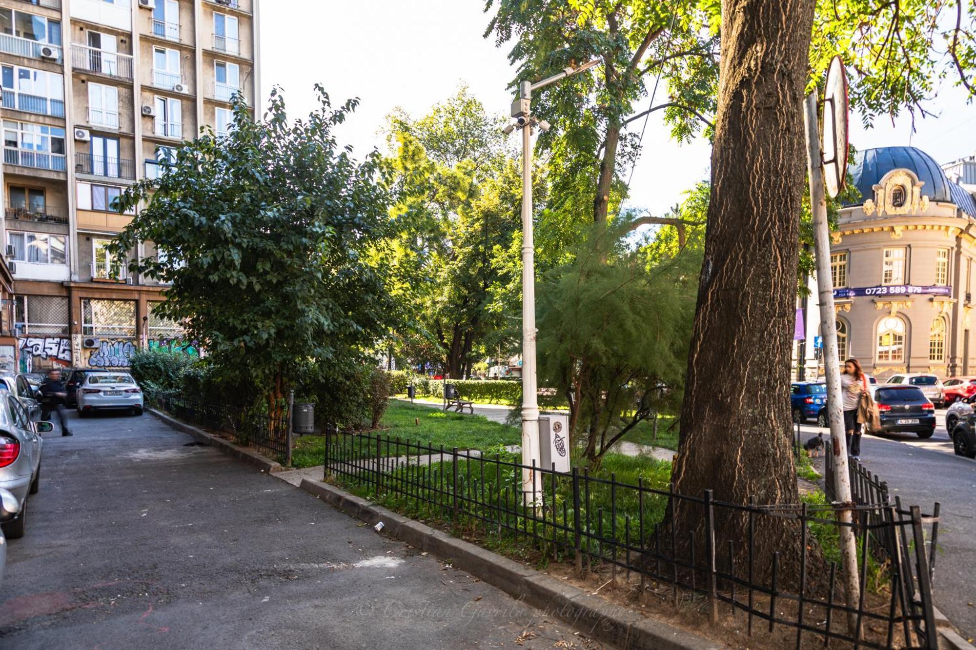 Apartment On Magheru Boulevard