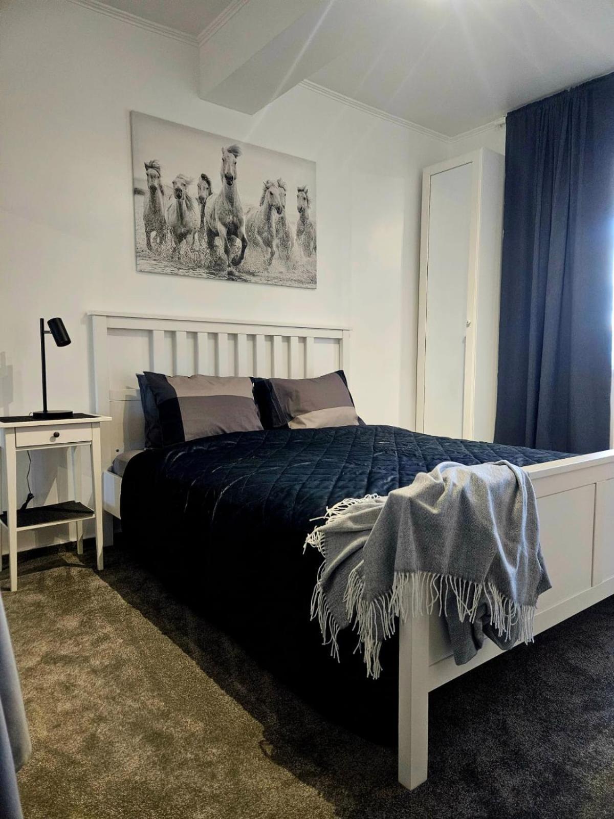 Cismigiu Apartament *