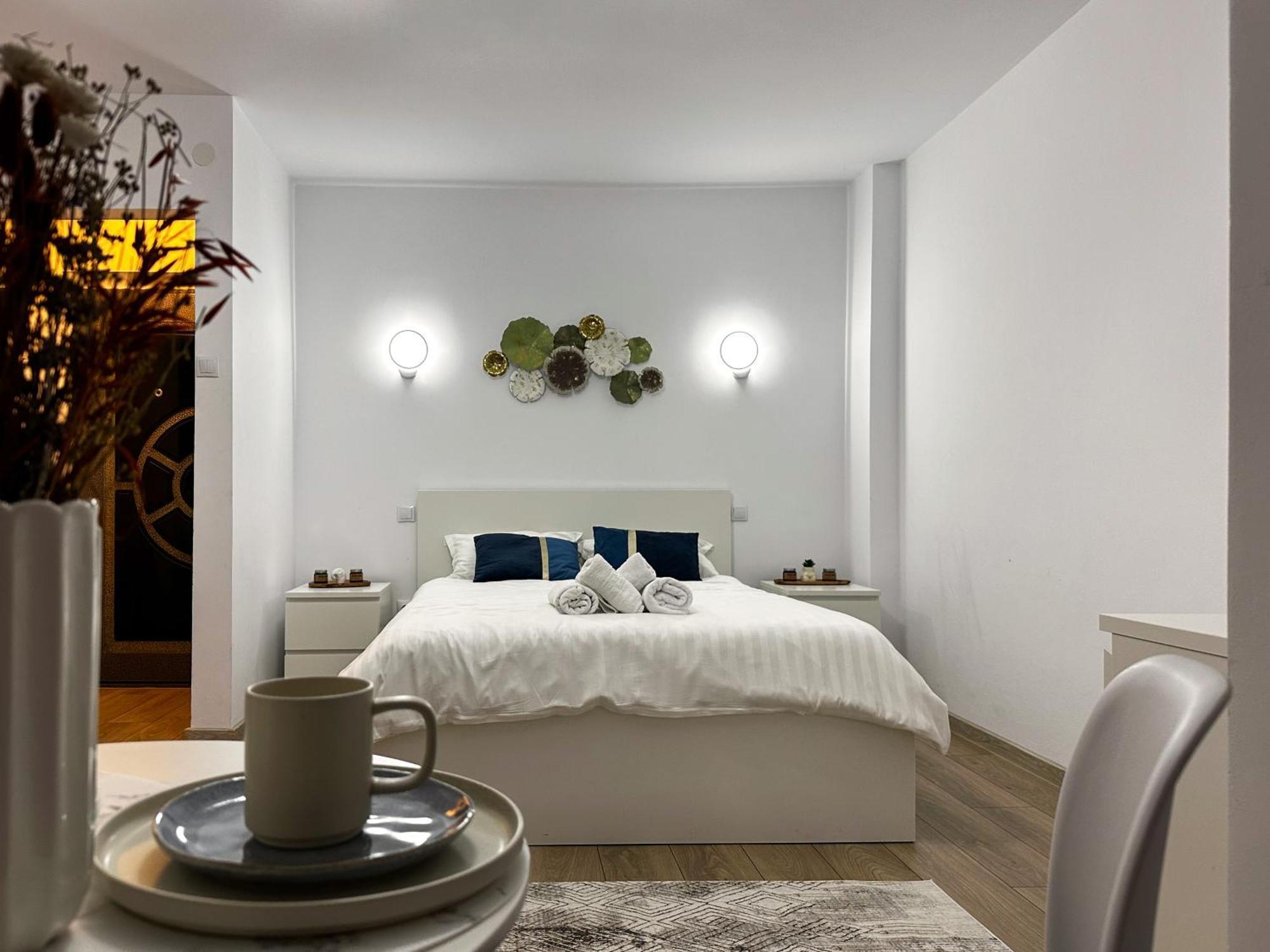 Superior One Bedroom Unirii Square Bucharest