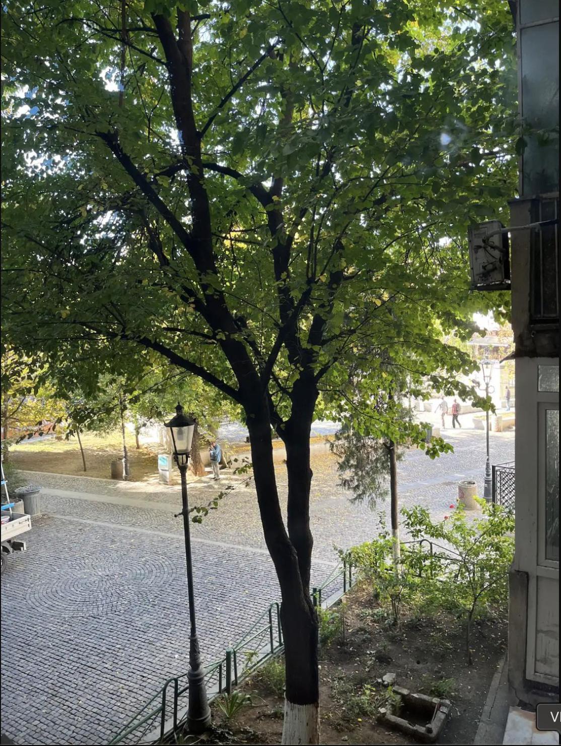 Superior One Bedroom Unirii Square