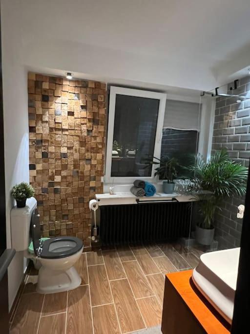 Apartment Unique & Special With Terrace In The Center Bucharest