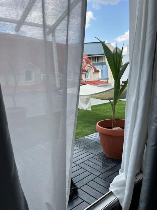 Unique & Special With Terrace In The Center Apartment Bucharest